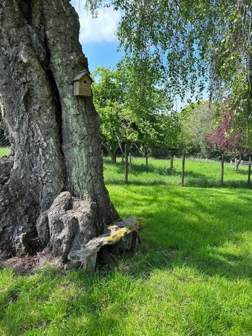 Beautiful 2 Bed Oast - 15 Acre Farm - Tunbridge Wells Villa Esterno foto